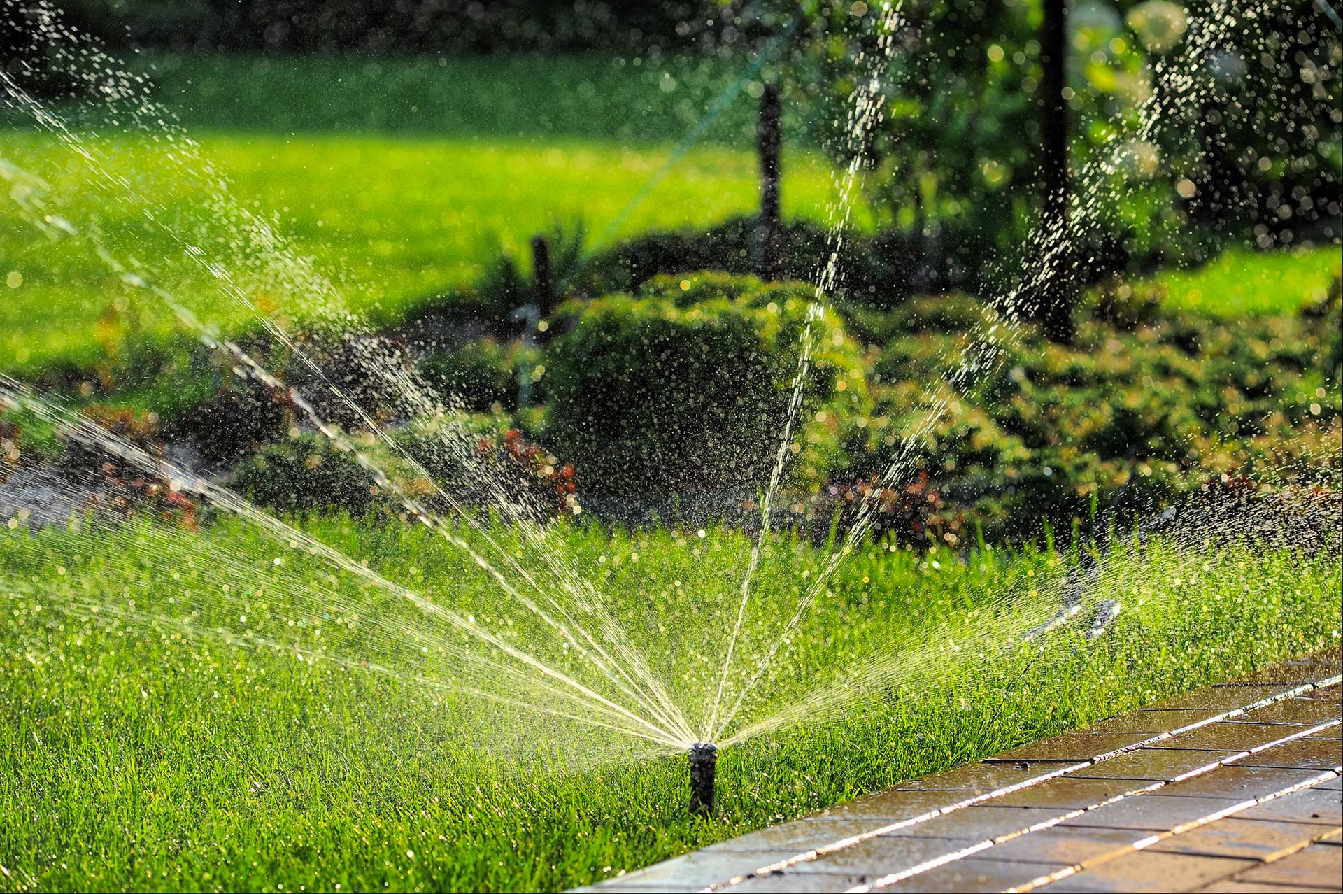 a sprinkler head watering a lawn