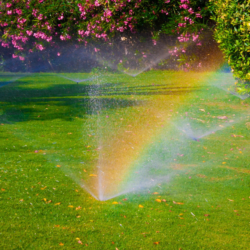 sprinkler rainbow